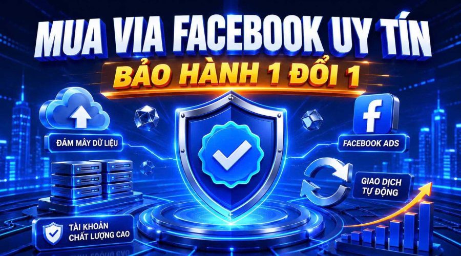Mua Via Facebook Uy Tín Số 1 – Bao Log, XMDT, 902 Cập Nhật Mới Nhất